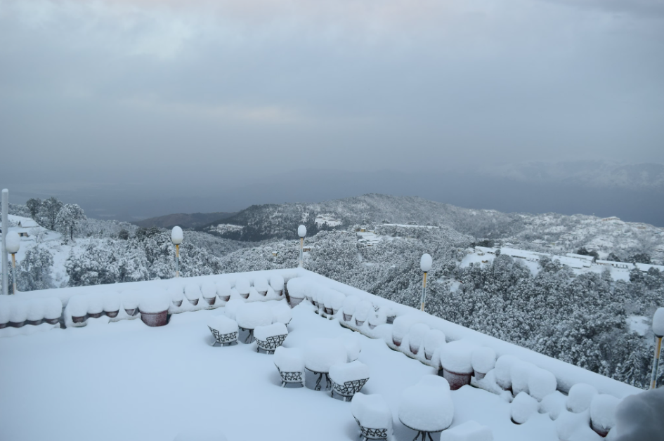 SS Resort